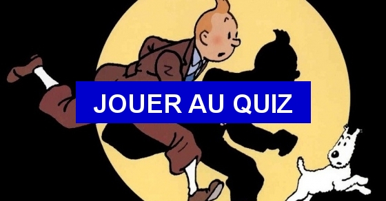 tintin rencontre haddock dans