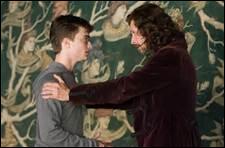 quand harry rencontre ginny