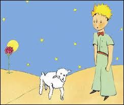 le petit prince rencontre avec la rose