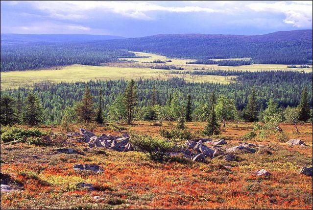 rencontre avec le pere noel en finlande