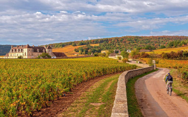 Le beaujolais nouveau est arriv !