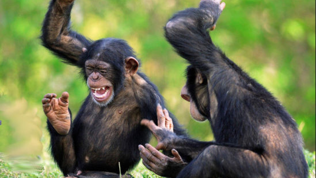 Et en mme temps, laissez-nous rire ! (Journe mondiale du 7 mai)