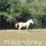 Mais-dinky