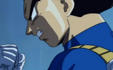 Vignette Vegeta