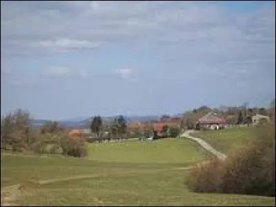 Petit village franc-comtois de 73 habitants, dans l'arrondissement de Besançon, Goux-sous-Landet se situe dans le département ...