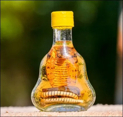 Cette liqueur pourrait être considérée comme un médicament dans une partie du monde puisqu'elle est basée sur le même principe. Par contre, on trouve un « objet » réellement nocif !
Quelle est cette liqueur ?