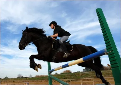 Fais-tu de l'équitation ? Si oui, tu es galop...