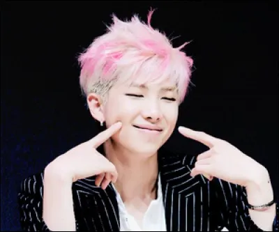 Rap Monster (Kim Namjoon) se fait aussi appeler...