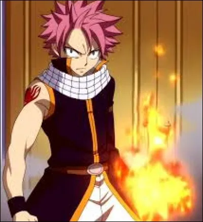 Qui est-ce ? (Fairy Tail )