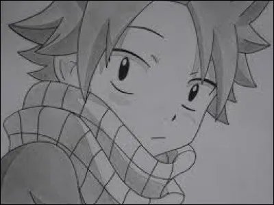 Quelle est la couleur de cheveux de Natsu ?