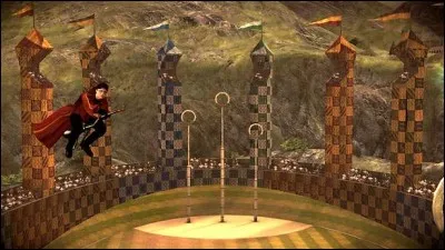 Que voit-on apparaître dans le ciel lors de la coupe du monde de Quidditch ?