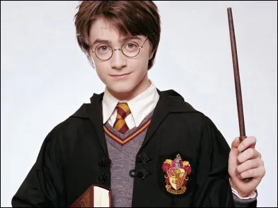 Comment s'appelle le meilleur ami garçon de Harry Potter ?