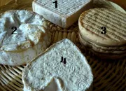 Quiz  Au bon P'tit Fromager 