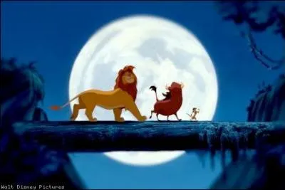 O se rencontrent Simba et Timon et Pumbaa ?