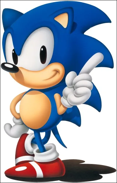 Quel est le nom de famille de Sonic ?