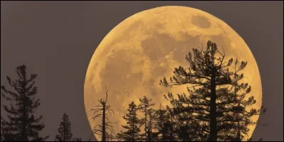 Fin d'année 2016, quelle soirée avons-nous pu observer une Super Lune ?