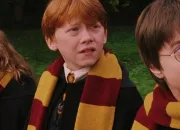 Test Harry Potter : Harry, Ron ou Hermione ?