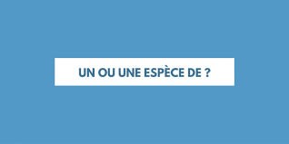 Quiz Langue franaise