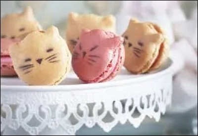 Quel est le nom de ces petites pâtisseries si mignonnes ?