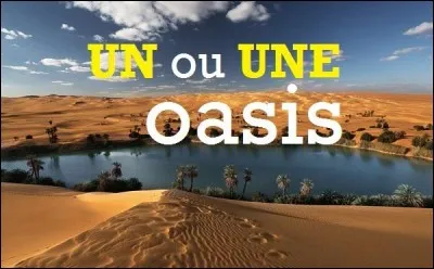 Oasis est un mot...