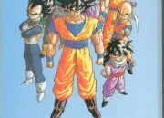 Test De quel personnage de Dragon Ball Z tiens-tu ?