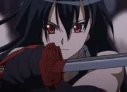 Quiz Akame Ga Kill