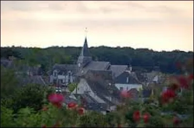 Chemiré-en-Charnie est une commune Sarthoise située en région ...