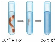 Quiz Sciences