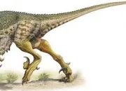 Quiz Vrai ou faux ? (5) Spcial dinosaures