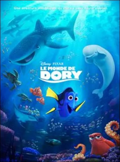 De quel trouble souffre Dory ?