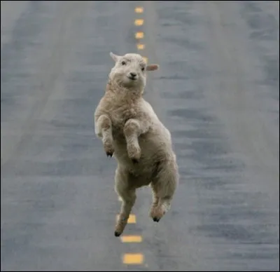 Retrouve le nom du danseur !