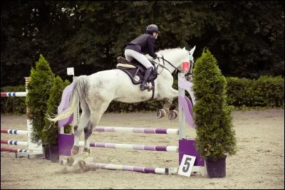 Quel est le nom de ce saut d'obstacle ?