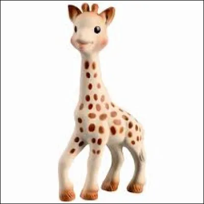 Quel est le nom de cette girafe ?