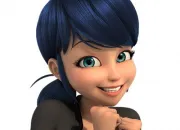 Quiz Connaissez-vous bien Marinette ?