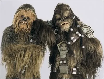 À quelle espèce appartiennent Chewbacca et Tarfful ?