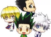 Test Qui es-tu dans Hunter X Hunter ?