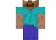 Quiz Vrai ou faux - Minecraft 2