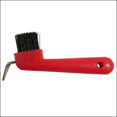 Comment s'appelle cette brosse ?