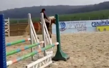 Quiz Equitation