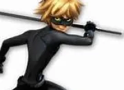 Quiz Chat Noir Miraculous