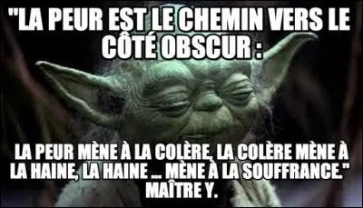 "La peur est le chemin vers le côté obscur : la peur mène à la colère, la colère mène à la haine, la haine mène à la souffrance." Dans quel épisode Yoda dit-il cela ?