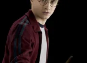 Quiz Harry Potter (acteurs)