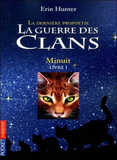 Combien de chats sont allés voir Minuit ?