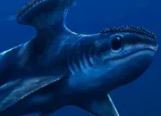 Quiz Quel est ce requin prhistorique ?