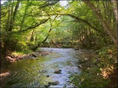 Tu es devant une rivière, tu préfères....