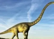 Quiz Vrai ou faux (3) - Diplodocus