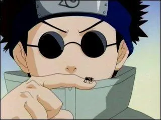 De quelle quipe fait partie Shino Aburame ?