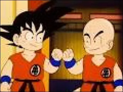 Comment Son Goku et Krilin se sont-ils rencontrés ?