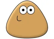 Quiz Pi pa pou