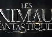 Quiz Les Animaux fantastiques